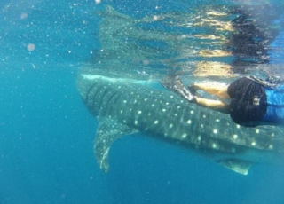 Una experiencia unica